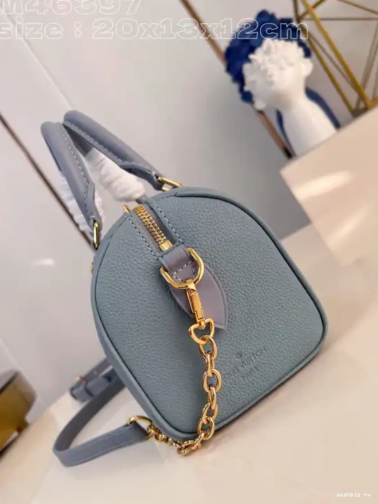 WIS VUITTON 20 SPEEDY LOUIS BANDOULIÈRE 0609